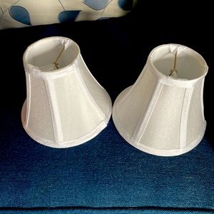 Pair of new candelabra shades.